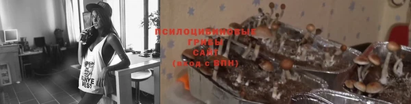 гашиш Алексин