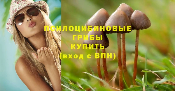 ECSTASY Алексеевка